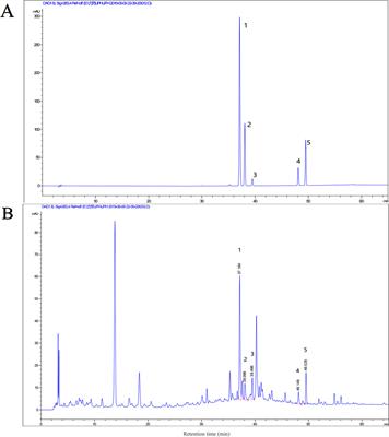 Jianpi Huayu Decoction Attenuates the Immunosuppressive Status of H22 Hepatocellular Carcinoma-Bearing Mice: By Targeting Myeloid-Derived Suppressor Cells